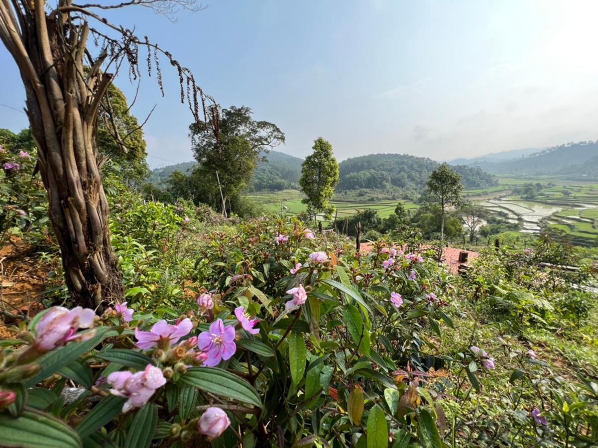 Konke Ruong Farmstay Kon Von Kla Dış mekan fotoğraf